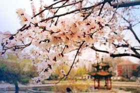 2018年北京交通大學(xué)工商管理碩士（MBA）招生簡章