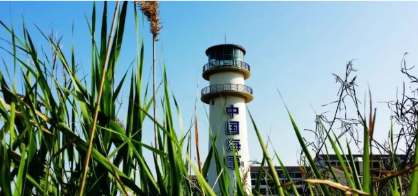 通知 | 上海海事大學(xué)經(jīng)濟(jì)管理學(xué)院教育培訓(xùn)中心非全日制MBA/MEM/項(xiàng)目管理/MPAcc專業(yè)學(xué)位新增指標(biāo)調(diào)劑系統(tǒng)開放通知