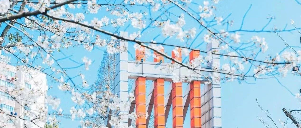 上海理工大學重磅新增！2025物流工程與管理非全項目：AACSB認證！獎學金最高5萬元！住宿/實習全保障！