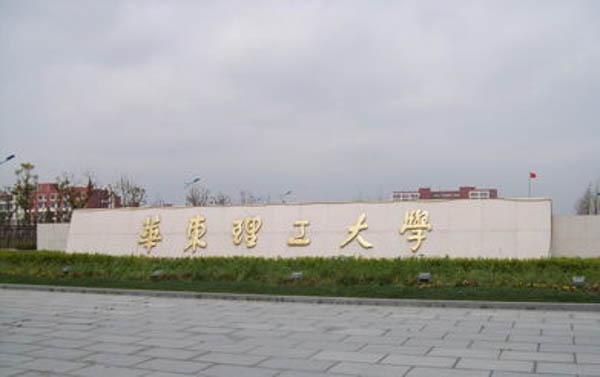 湖額動力共-2.jpg